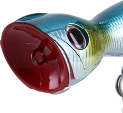 Daiwa Saltiga Pop Star 160F -Salty Water Tackle 01