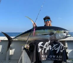 CB One C1 Semi Long 320g