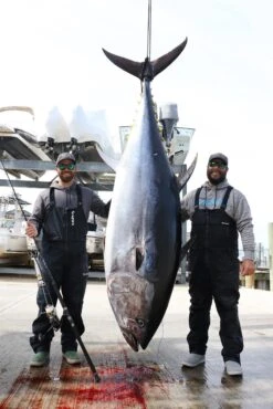 Saltywater Tackle Race Point 350 (Sami’s Edition)