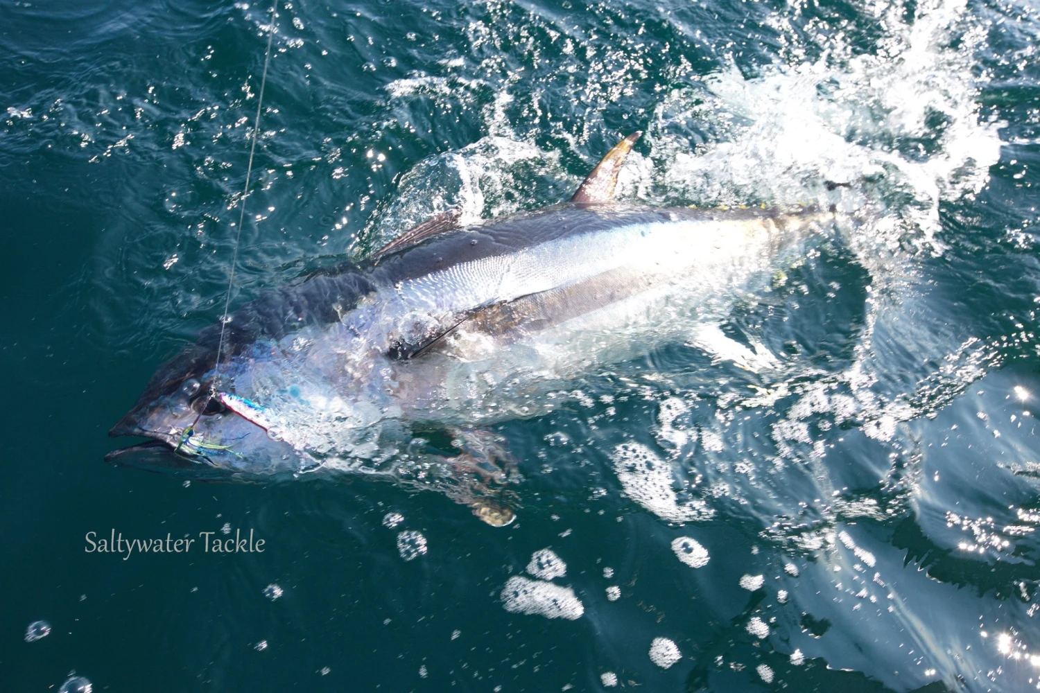 CB One C1 Jig 300g 2 CB One C1 Jig 300g - Image 2