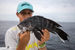 CB One Zero2 Tungsten 60g 9 CB One Zero2 Tungsten 60g -Salty Water Tackle BV6A8392 scaled 1