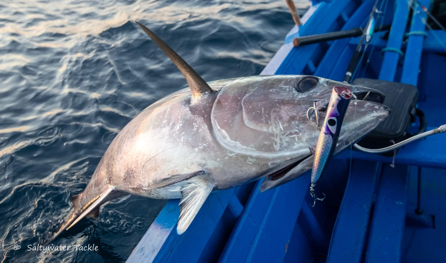 CB One Bazoo 220 1 CB One Bazoo 220