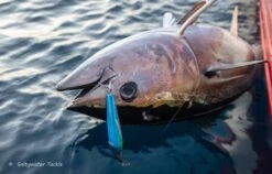 Rave Lures 180 By Saltywater Tackle -Salty Water Tackle BV6A8485 scaled 1