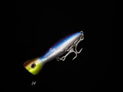 Daiwa Saltiga Pop Star 160F -Salty Water Tackle BV6A9502