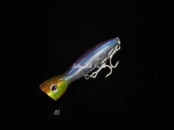 Daiwa Saltiga Pop Star 160F -Salty Water Tackle BV6A9505