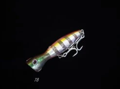 Daiwa Saltiga Pop Star 160F -Salty Water Tackle BV6A9507