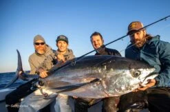 Saltywater Tackle Race Point 300 2nd Generation