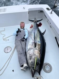 Native Works Gazelle 270