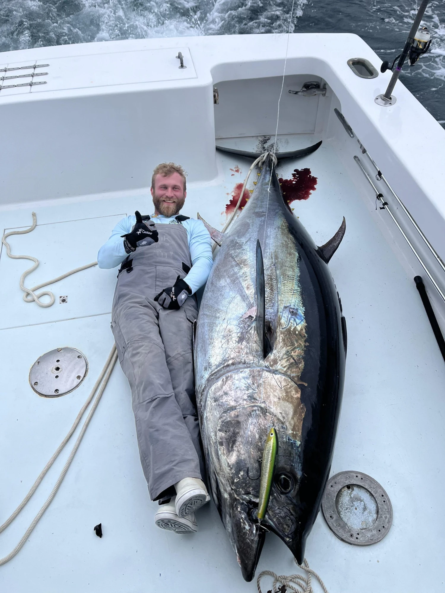 Native Works Gazelle 270 1 Native Works Gazelle 270