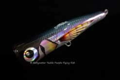 Amegari Dzanga 195 B-Cup 38 Amegari Dzanga 195 B-Cup -Salty Water Tackle DSC0157 scaled 1