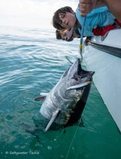 Tackle House Contact Britt CBP 170SW Sinking