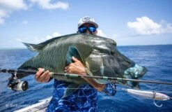 Native Works Rattler 230