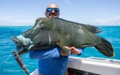 Rave Lure 220 By Saltywater Tackle -Salty Water Tackle DSC1650 scaled 1