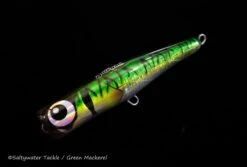 Amegari Dzanga 160 FPD 12 Amegari Dzanga 160 FPD -Salty Water Tackle DSC2130 DeNoiseAI clear scaled 1