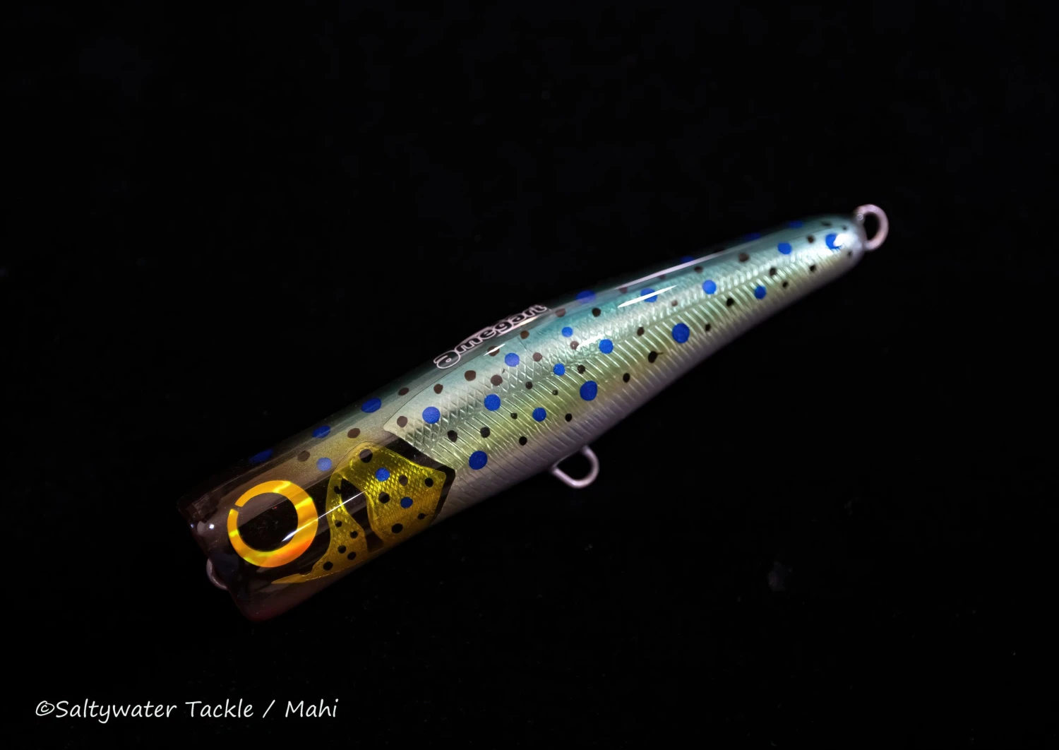 Amegari Dzanga 160 FPD 4 Amegari Dzanga 160 FPD - Image 4