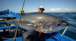 BKK Lone Diablo Inline Hook 8091-5X-HG -Salty Water Tackle DSC2380 scaled 2