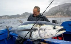 BKK Lone Diablo Inline Hook 8091-5X-HG -Salty Water Tackle DSC3561 scaled 3