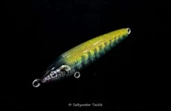 Rave Lures 140 By Saltywater Tackle 14 Rave Lures 140 By Saltywater Tackle -Salty Water Tackle DSC4383 scaled 1