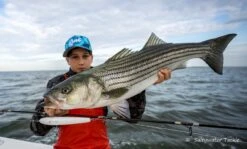 Rave Lures 140 By Saltywater Tackle