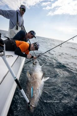 CB One Stand Up Tuna -Salty Water Tackle DSC4961 scaled 1