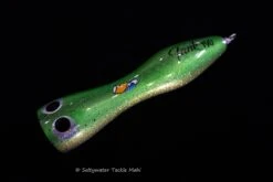 Native Works Tank 190 13 Native Works Tank 190 -Salty Water Tackle DSC5796 scaled 1