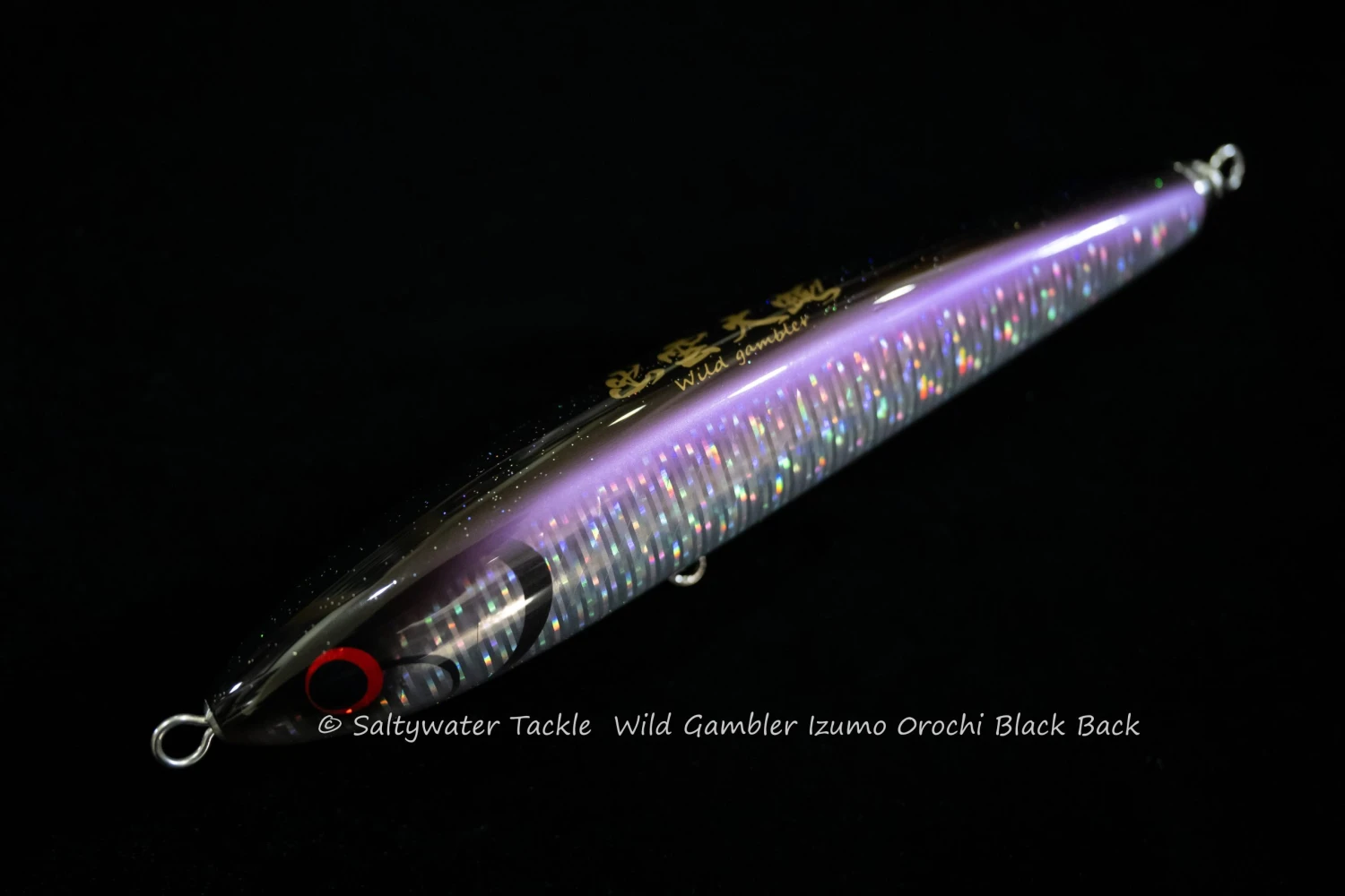 Wild Gambler Izumo Orochi 230F Saltywater Tackle Original Color 3 Wild Gambler Izumo Orochi 230F Saltywater Tackle Original Color - Image 3
