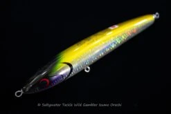 Wild Gambler Izumo Orochi 280F Saltywater Tackle Original Color -Salty Water Tackle DSC6156 scaled 1