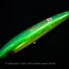 Wild Gambler Izumo Orochi 280F Saltywater Tackle Original Color