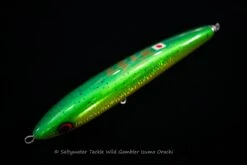 Wild Gambler Izumo Orochi 280F Saltywater Tackle Original Color