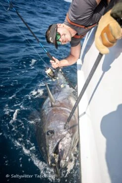 BKK Lone Diablo Inline Hook 8091-5X-HG -Salty Water Tackle DSC6175 scaled 1