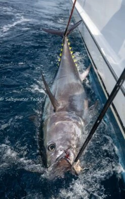 Saltywater Tackle Race Point 350 (Sami’s Edition) -Salty Water Tackle DSC6449 2 scaled 1