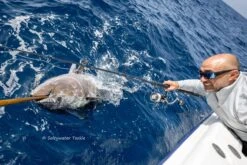 Saltywater Tackle Race Point 300 2nd Generation -Salty Water Tackle DSC6496 scaled 1