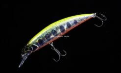 DUO Spearhead Ryuki 80S -Salty Water Tackle DSC6710 scaled 1
