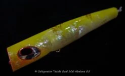 Shell Shaping Oval 200 Abalone -Salty Water Tackle DSC6739 scaled 1