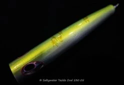 Shell Shaping Oval 230 -Salty Water Tackle DSC6746 scaled 1