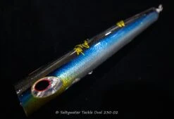 Shell Shaping Oval 230 -Salty Water Tackle DSC6749 scaled 1