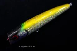 Wild Gambler Ganesha 240F 15 Wild Gambler Ganesha 240F -Salty Water Tackle DSC7593 scaled 1