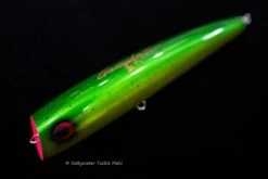 Wild Gambler Ganesha 240F 16 Wild Gambler Ganesha 240F -Salty Water Tackle DSC7594 scaled 1