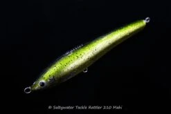 Native Works Rattler 210 -Salty Water Tackle DSC8939 scaled 1
