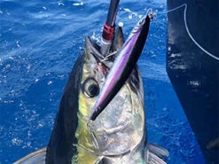 Daiwa Saltiga Dive Star 220F