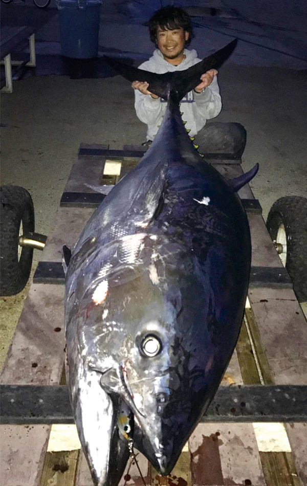 Shimano Wild Response 240F Aluminum Special 1 Shimano Wild Response 240F Aluminum Special