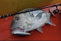 Suteki Plugging Double Maboroshi MAW-1 -Salty Water Tackle MAW GT