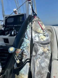 Saltywater Tackle Outer Banks 700 BFT Jigging Rod (Sami’s Edition) -Salty Water Tackle OBX 700 1 scaled 1