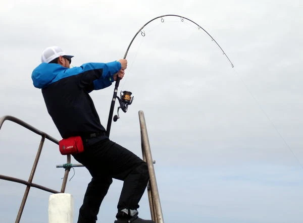 Carpenter Blue Chaser BLC 84/26 2 Carpenter Blue Chaser BLC 84/26 - Image 2