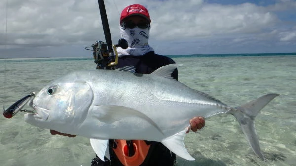 Carpenter Blue Chaser BLC 84/26 1 Carpenter Blue Chaser BLC 84/26