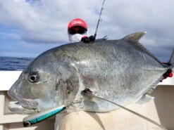 Carpenter Blue Chaser BLC 84/26 5 Carpenter Blue Chaser BLC 84/26 -Salty Water Tackle P70600532