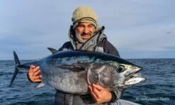 Tackle House Feed Popper 150