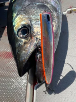 Nature Boys Pelican 180F 16 Nature Boys Pelican 180F -Salty Water Tackle f87d3639157793d1251df744894514ba