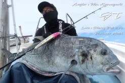 Hammerhead Cherry Pai 250 SUS