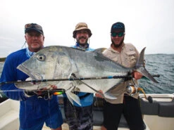 Borboleta Ballyhoo GT Poppers